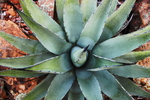 photo thumbnail #6