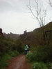 photo thumbnail #2