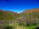 photo thumbnail #4