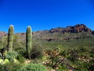 photo thumbnail #7
