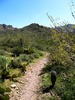 photo thumbnail #9