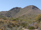 photo thumbnail #7