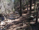 photo thumbnail #13