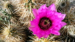 photo thumbnail #2