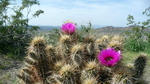photo thumbnail #3