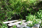 photo thumbnail #8