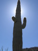 photo thumbnail #10