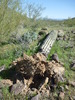 photo thumbnail #7