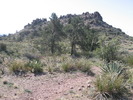 photo thumbnail #3