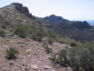 photo thumbnail #7