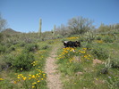 photo thumbnail #4