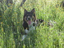 photo thumbnail #12