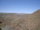photo thumbnail #5