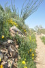 photo thumbnail #9