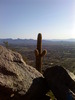 photo thumbnail #2