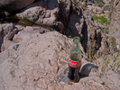 photo thumbnail #14