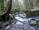 photo thumbnail #7
