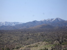 photo thumbnail #2