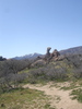photo thumbnail #5
