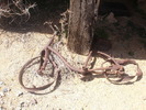 photo thumbnail #10