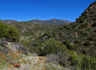photo thumbnail #5