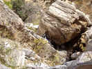 photo thumbnail #1