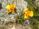 photo thumbnail #7