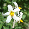 photo thumbnail #6