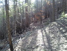 photo thumbnail #7