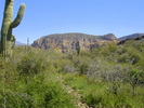 photo thumbnail #9