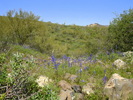 photo thumbnail #10