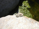 photo thumbnail #12