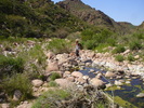 photo thumbnail #13