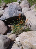 photo thumbnail #14