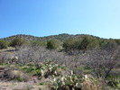 photo thumbnail #2