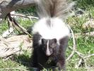 photo thumbnail #4