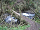 photo thumbnail #7