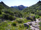 photo thumbnail #2