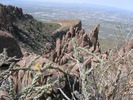 photo thumbnail #9