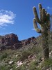 photo thumbnail #4