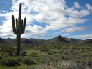 photo thumbnail #8