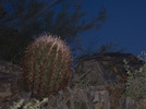 photo thumbnail #3