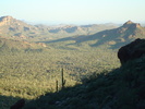 photo thumbnail #2