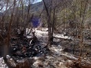 photo thumbnail #3
