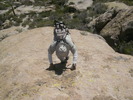 photo thumbnail #14