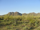 photo thumbnail #1
