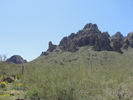 photo thumbnail #11