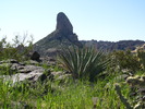 photo thumbnail #5