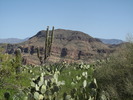 photo thumbnail #7