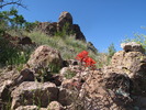 photo thumbnail #9